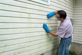 Best Aluminum Siding Installation  in Landis, NC